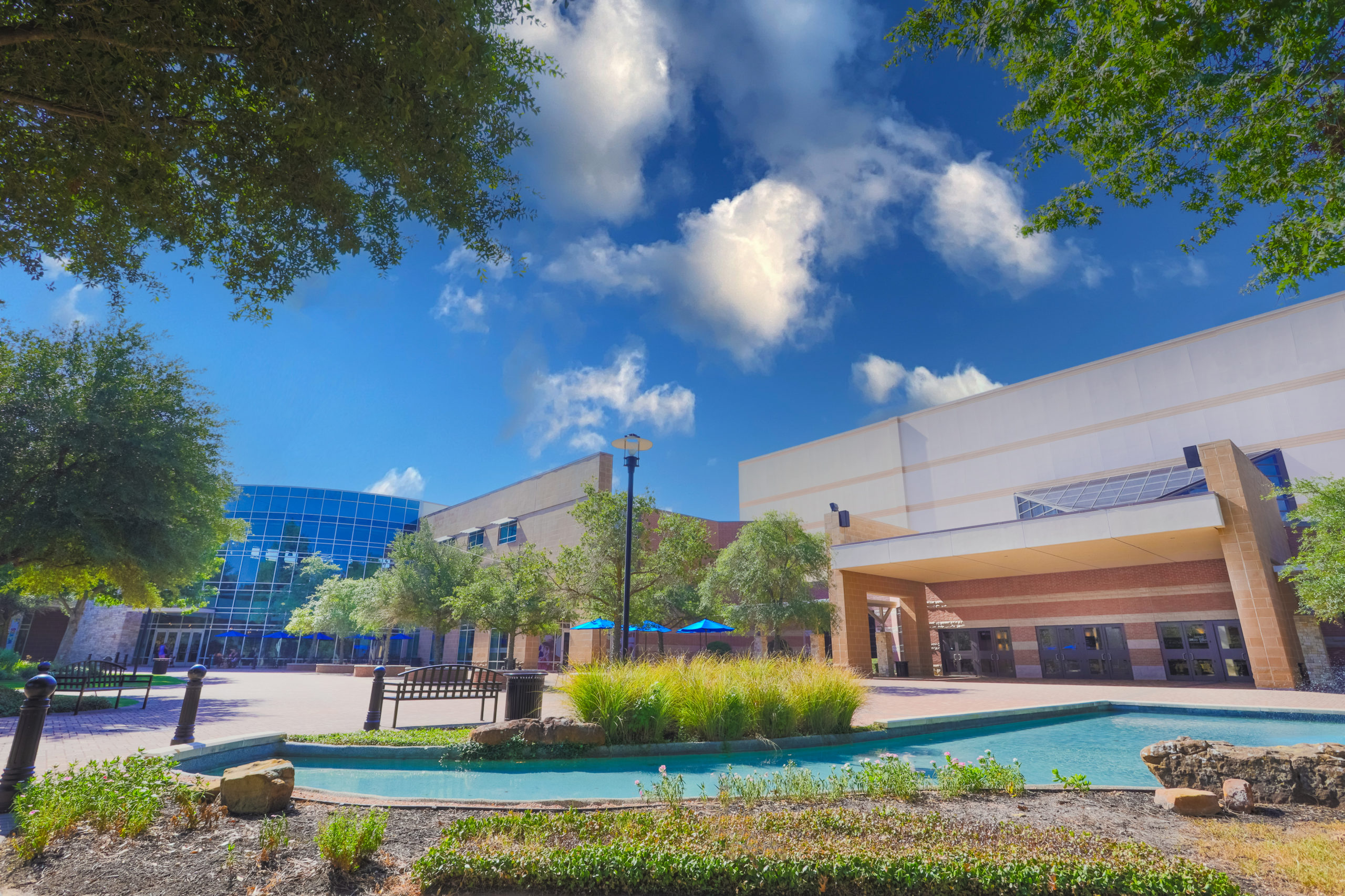 The Woodlands, TX artificial turf projects